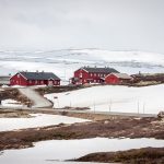 20150614 104342 Hardangervidda 800